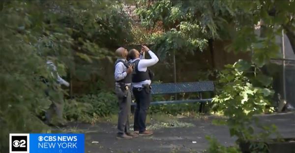 Investigators standing near a Bronx building wher<em></em>e a 10-year-old girl fell to her death