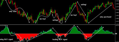 Market 101: An Insight into Trendlines and Momentum