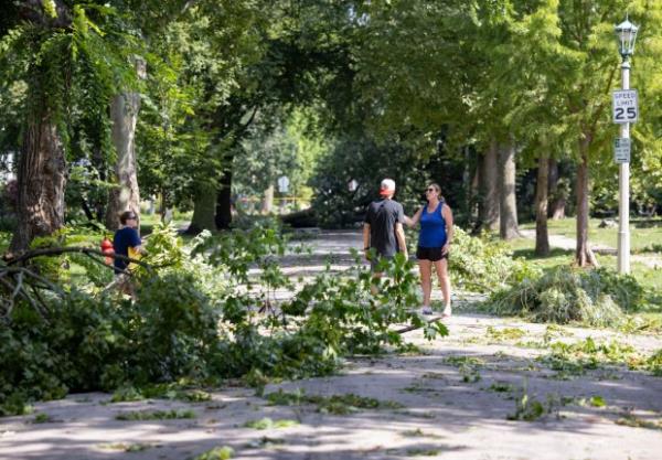 Neighbors talk amid fallen trees on July 16, 2024, on South Elmwood Avenue in Oak Park after a strong storm. (Brian Cassella/Chicago Tribune)