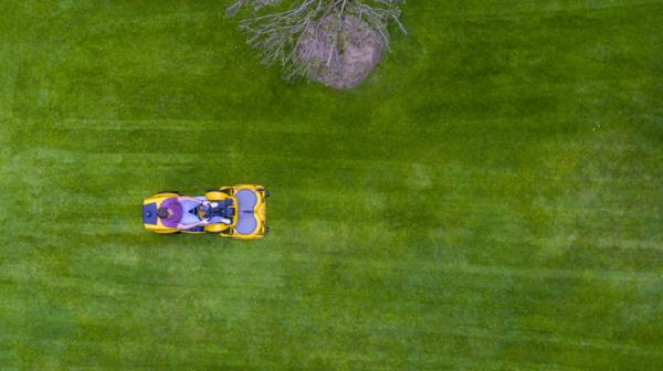 Orange riding mower on large lawn