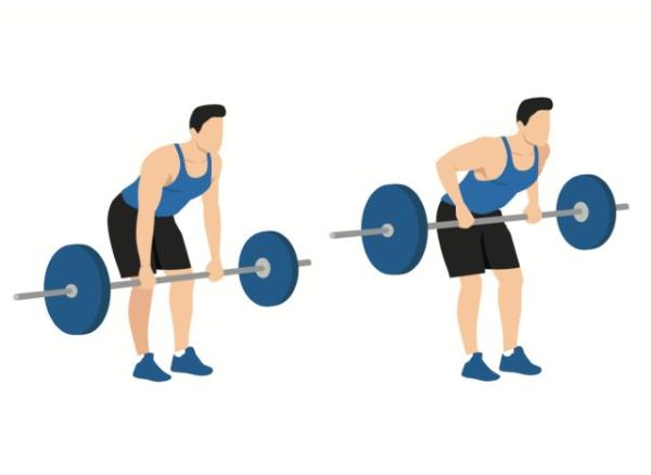 illustration of man doing barbell row