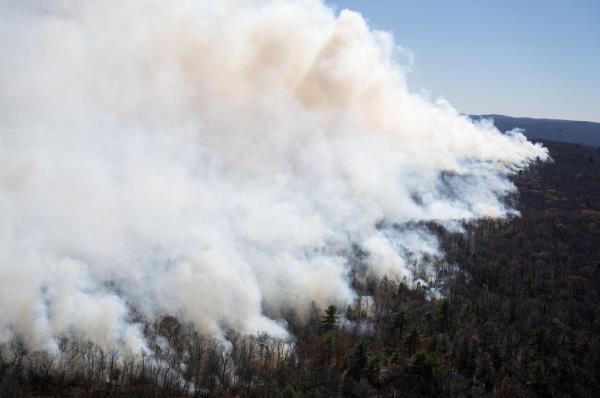 Smoke rises from the Jennings Creek Wildfire impacting Passaic County, NJ and Orange County, NY near Jennings Creek, New Jersey, U.S., Nov. 9, 2024. (Reuters Photo)