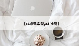 【a1准驾车型,a1 准驾】