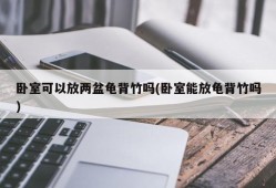 卧室可以放两盆龟背竹吗(卧室能放龟背竹吗)