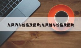 东风汽车价格及图片/东风轿车价格及图片